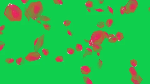 Green screen with floating red petals perfect for creating a magical. Stock Footage 306771617