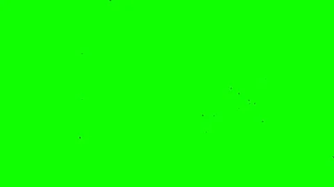 Green screen. A flock of black crows flies from the left to the right Stock Footage 271245816