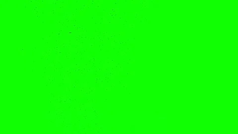 Green screen. A flock of black crows flies from bottom to top in the form of a Stock Footage 271246451