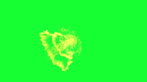 Green Screen Floral Energy Explosion Effect Stock Footage 264633752
