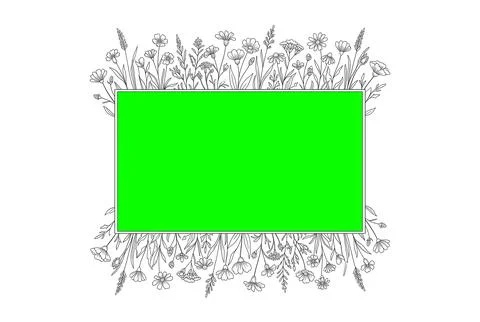 Green screen framed by delicate black line floral border with wildflowers a.. 库存插图