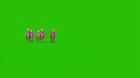 Green Screen Group Dinosaur Dilophoraptor Runs Front 3D Rendering Jurassic A Stock Footage 340042039