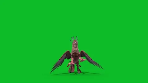 Green Screen Gryphon Attack Front Loop Mythological Creature 3D Animation CG Stock Footage 332766588