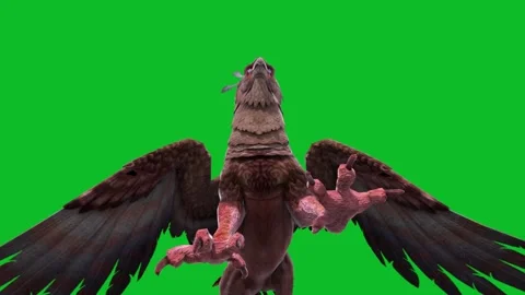 Green Screen Gryphon Attack Loop Mythological Creature 3D Animation CGI Rend Stock Footage 332766589