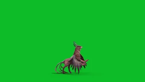 Green Screen Gryphon Attack Side Loop Mythological Creature 3D Animation CGI Stock Footage 332766593