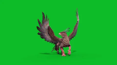 Green Screen Gryphon Idle Loop Mythological Creature 3D Animation CGI Render Stock Footage 332766600