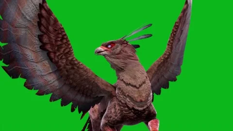 Green Screen Gryphon Idle Loop Front Mythological Creature 3D Animation CGI Stock Footage 332766614