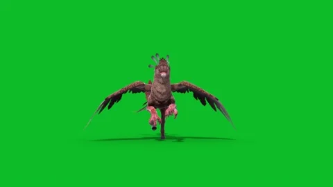 Green Screen Gryphon Runs Front Mythological Creature 3D Animation CGI Rende Stock Footage 332766625