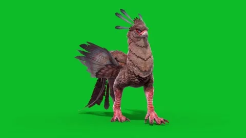 Green Screen Gryphon Walkcycle Loop Mythological Creature 3D Animation CGI R Stock Footage 332766634
