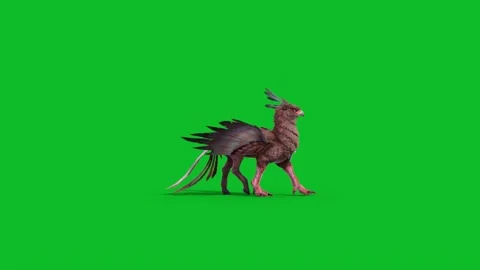 Green Screen Gryphon Walks Side Mythological Creature 3D Animation CGI Rende Stock Footage 332766637