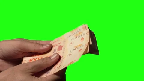 Green screen hands receiving and counting argentinian pesos Stock Footage 218005373