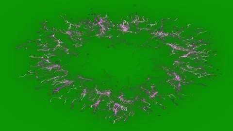 Green screen heart made out pink flowers purple image circular design circle Stock Footage 314067930