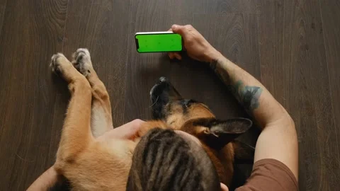 Green screen, horizontal mockup. Stock Footage 239311491