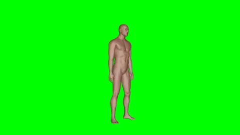 Green Screen - Human Body Sit to Stand Perspective Stock Footage 329764933