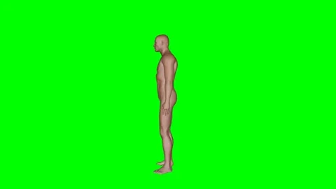 Green Screen - Human Body Sit to Stand Side Stock Footage 329764954