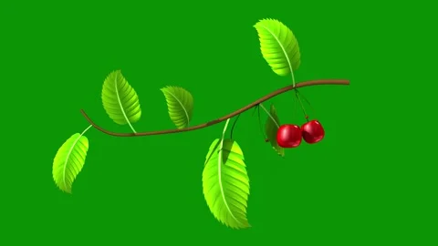 Green screen image bird leaf branch leaves red berry berries animated Stock Footage 314068437