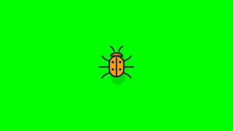 Green Screen Ladybug Stock Footage 339914804