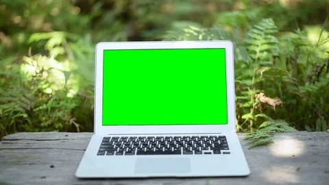 Green screen of laptop computer set on wood table in garden. Stock Footage 101866027