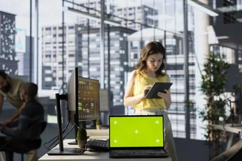 Green screen laptop in front of admin doing software quality assurance 库存照片