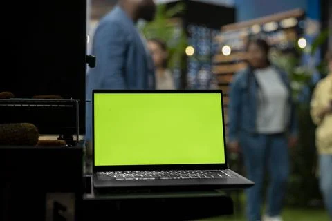 Green screen laptop mockup placed beside barbecue grill with party guests Stock Photos
