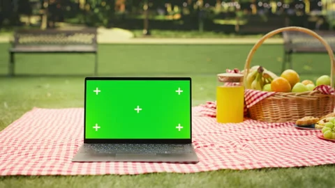 Green screen laptop placed on picnic blanket in empty city park Stock Footage 341411723
