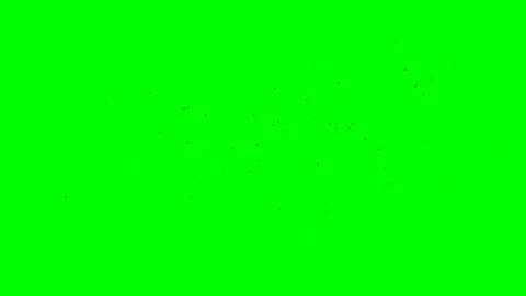 On a green screen a large flock of black crows is circling high in the sky Stock Footage 119576518