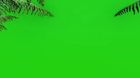 Green Screen with Leaf Branch Top View Stock Footage 320828869