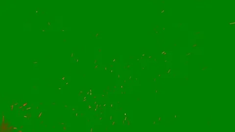 Green screen lots small pieces paper white dots fire bunch flowers middle Stock Footage 314064497