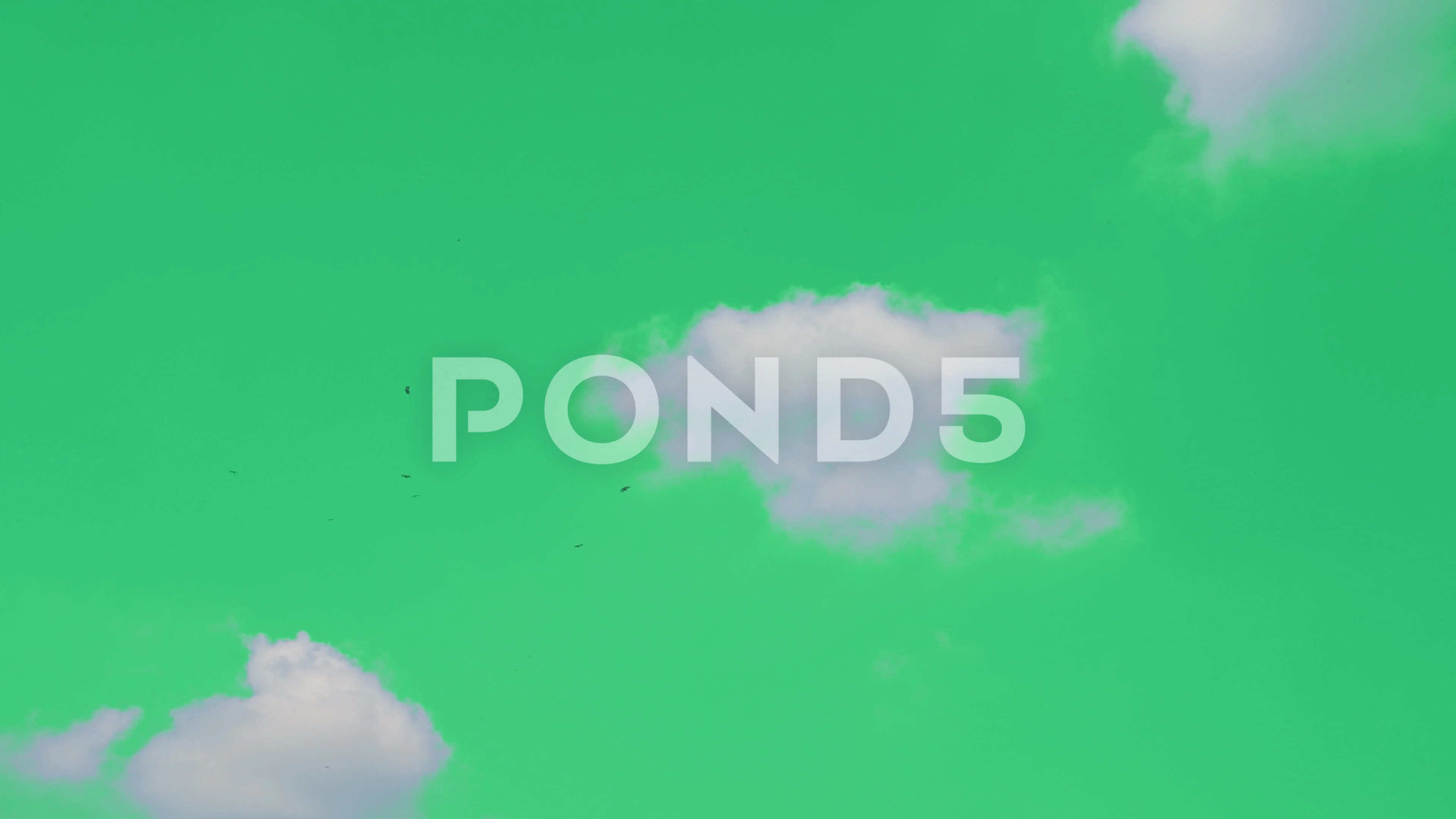 Chroma Key Color 4K Resolution 