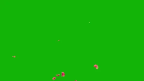Green Screen Petals Falling Effect Video Stock Footage 318946912