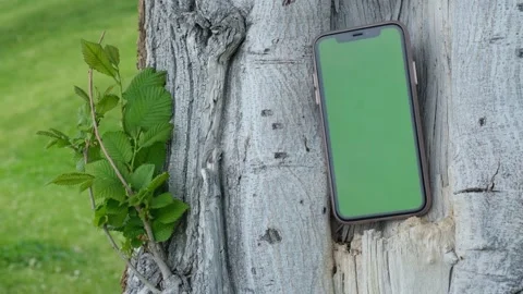 Green screen phone Stock Footage 242309785