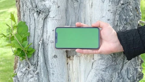 Green screen phone Stockbeeldmateriaal 242309879