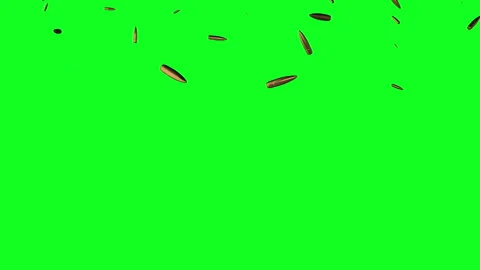 Green screen rain bullets falling 3d amm... | Stock Video | Pond5