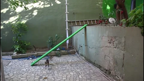 Green Screen Ramp Walk Effect with Clean Plate Background Stock Footage 332695261