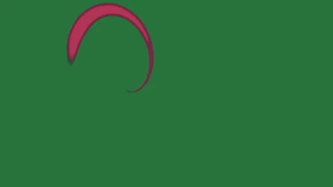 A green screen with red arrow on it and object circle white background border Stock-Footage 335065488