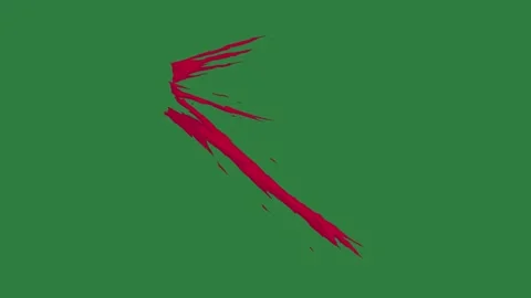 A green screen with red arrow on it and spider paint bird animated chromakey Video stock 335065670