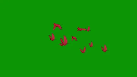 Green screen red butterflies flying around bunch in air flock birds group sky 库存影片 314068098