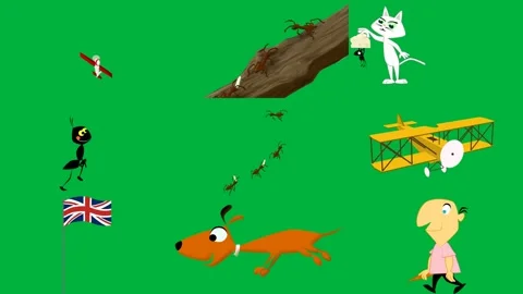 Green screen red cross it group ants crawling tree branch person holding. Stock Footage 310563089