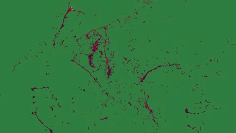 A green screen with red flower on it and splash of paint lot spots an image Video stock 335067137