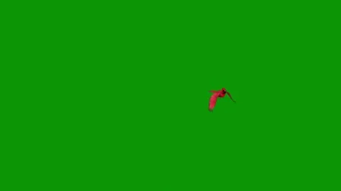 Green screen red heart arrow tick bird flying in sky air animated chromakey 스톡 동영상 314068092