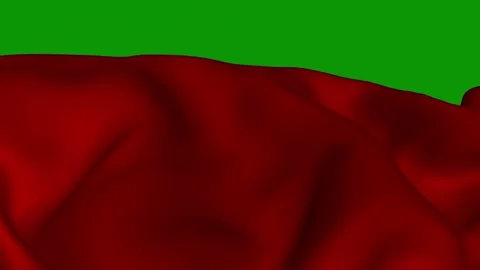 Green screen red square mountain the background cloth cat animated chromakey Video stock 314066898