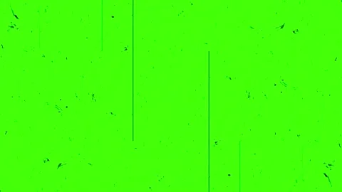 Green screen scratch dust noise clutter. 4k grunge overlay, 60s old film effect Stock Footage 326810085