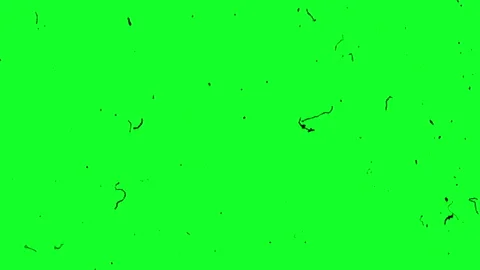 Green Screen Scratch Texture Overlay. Vintage Damaged TV Effect. Stock Footage 317709668