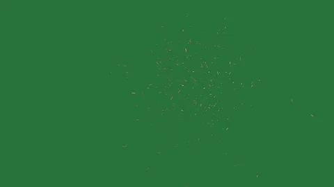 Green screen screen bunch of fireworks black firework on an image fire in the Video stock 336050835