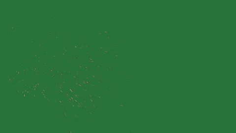 Green screen screen firework green screen illustration backgrounds cartoonish Stock Footage 336050684
