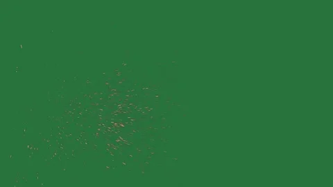 Green screen screen firework green screen layers colorful cartoonish 스톡 동영상 336050712