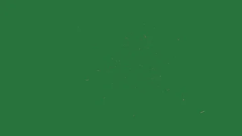 Green screen screen gold sparkles firework black green screen design scene Stock Footage 336050538