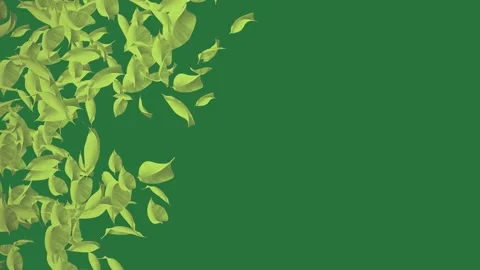 Green screen screen leaves bunch of flying in the air green screen emotion Video stock 335979052