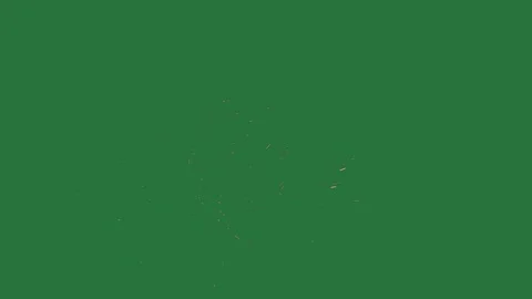 Green screen screen lot of gold glitters fire in the middle green screen Stock-Footage 336051103