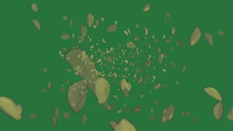 Green screen showing falling leaves and lot of bunch illustration elements Stock Footage 336051414